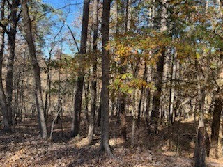 Oxford Sub Bvv - Land