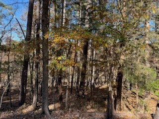 Oxford Sub Bvv - Land