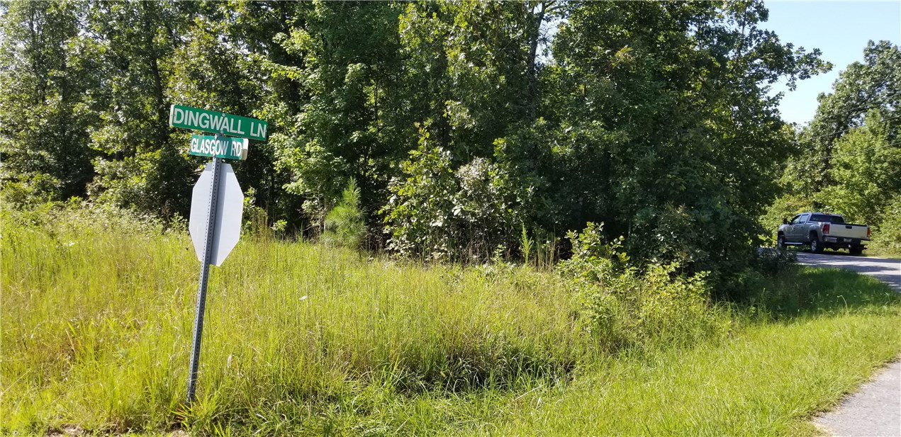 Excellent Level Corner Building lot next to Glasgow Road. 3/4 miles from Scottsdale Golf Course and Loch Lomond Dam and Park. Close to Branch-wood Recreation Center.