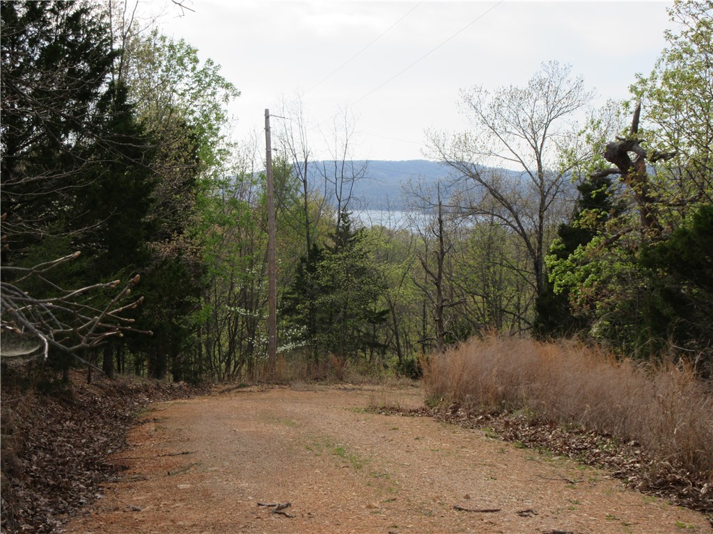 This beautiful double lot is the perfect spot for being able to get quick access to the main roads while providing seclusion and a lake view. The 1.5 acres size will provide many options for your lake, vacation or permanent home. The gradual sloping of the lot makes it very construct-able. Lake views in two directions.