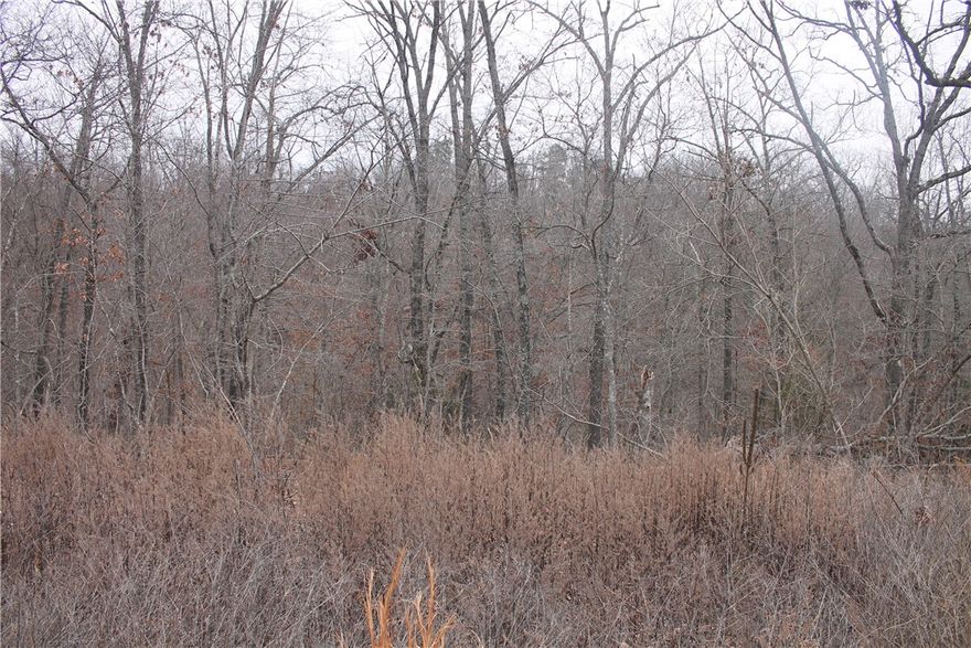 This charming lot in Bella Vista is slightly loped down, offering a unique elevation that enhances the overall appeal and provides a picturesque view of the surrounding landscape. The zoning permits residential construction, making it an ideal canvas for your dream home. With its gentle slope, the property allows for creative architectural designs, including potential walk-out basements or multi-level plans. Surrounded by lush greenery, this lot combines privacy with accessibility to local amenities, parks, and schools, ensuring a perfect setting for family living. Embrace the opportunity to build a home that captures the essence of both comfort and nature