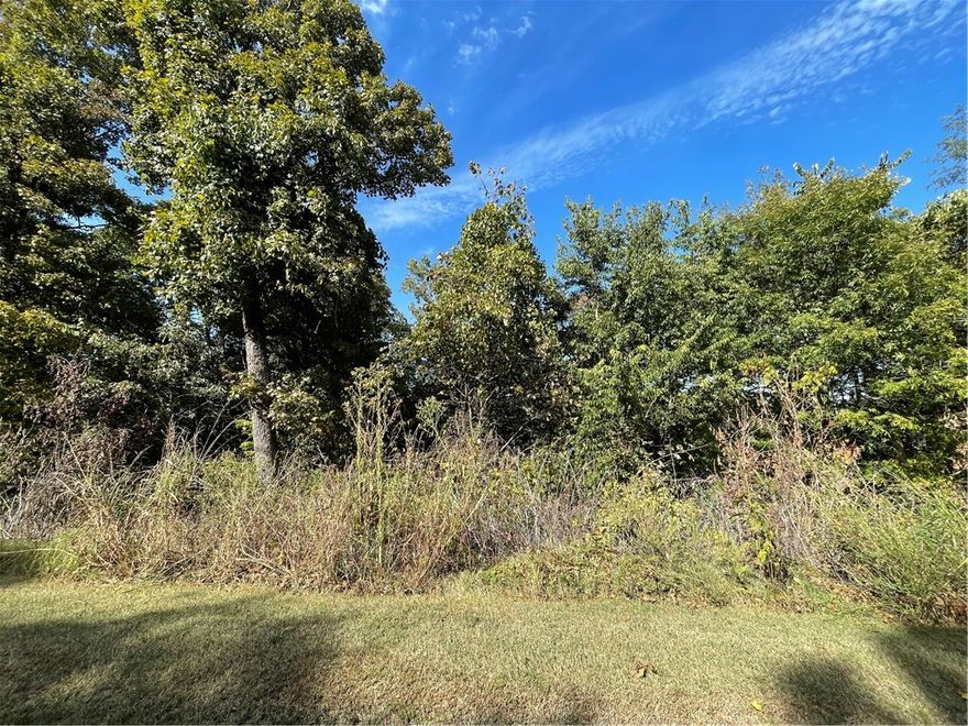Perfect lot to build on if you're looking for a walkout basement.  This .36 acre lot fronts Holiday Island Drive and follows Hawk Drive on the backside.  Have an entrance from either road.  Currently wooded, but could have a fantastic valley view once cleared of underbrush.  All amenities close.  Shopping, restaurants, banks plus golf, fishing, swimming, rec center, tennis courts and more.  All minute from this centrally located lot.