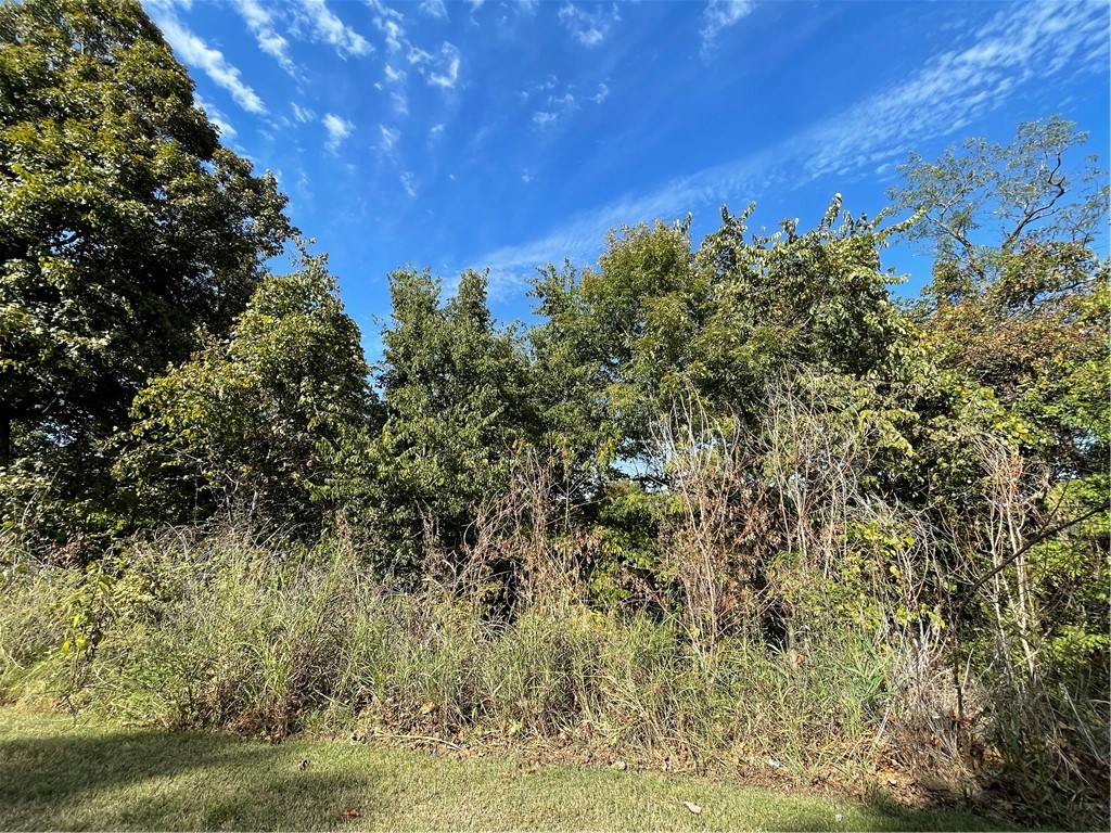 Unit 6 Holiday Island - Land