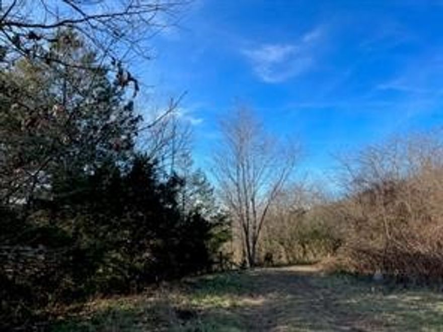 This lovely rural 4 plus acres in a quiet part of Carroll County is ready for your new build with utilities already on site. From your new home located less than 10 miles from HWY 412 with easy access to Harrison, Springdale, or Huntsville, you can enjoy wooded privacy without sacrificing the convenience of more urban amenities.