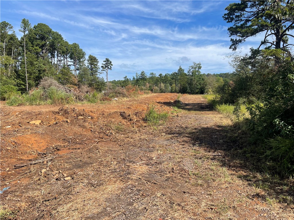 Looking for land with options? This 1.57-acre lot is cleared and ready for your vision! Located close to elementary schools and junior high school, walking trails, and outdoor recreationāincluding nearby fishing spotsāthis property is in a prime area with strong investment potential. Just minutes from the nuclear plant, itās ideal for future development, rental opportunities, or building your dream home.