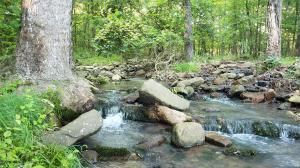 Live in tranquility and seclusion while enjoying the sound of water rushing over the rocks. Only 5 miles from I-40 in Ozark, this property has everything you need to build your dream home: a house pad built by a spring-fed creek and all utilities on site: sweet water well, electric, and septic plus some existing plumbing. Over 31 acres of mostly timber, a stocked pond, and ornamental trees. Most importantly, you will love the view - absolutely no neighbors in sight! This property joins an additional 31.5 acres for sale. Call for your private show today!