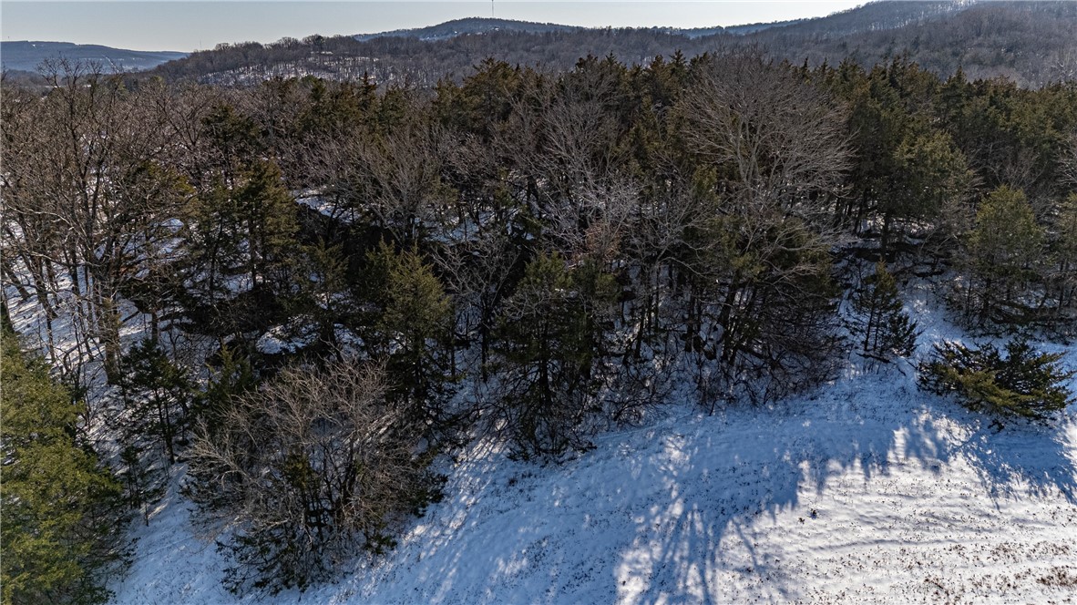 West Fork Outlots - Land