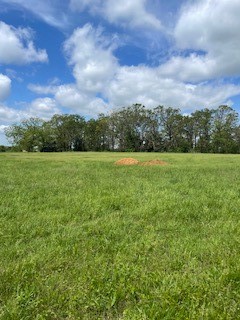 Historic Check's Corner. Small acreage level building lots for a country lifestyle with a little elbow room. Hard to find these small acreage tracts in Benton County. Gravette Water at the street. Requires a septic. Carroll Electric. Paved road to the subdivision. 12 lots total. Most have a combination of open pasture and trees. Seller will finance with 10% down.