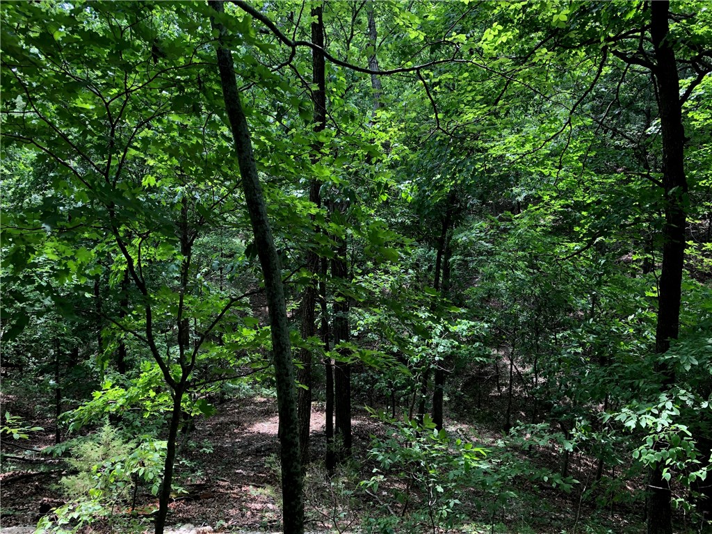 Mossy Oak - Land