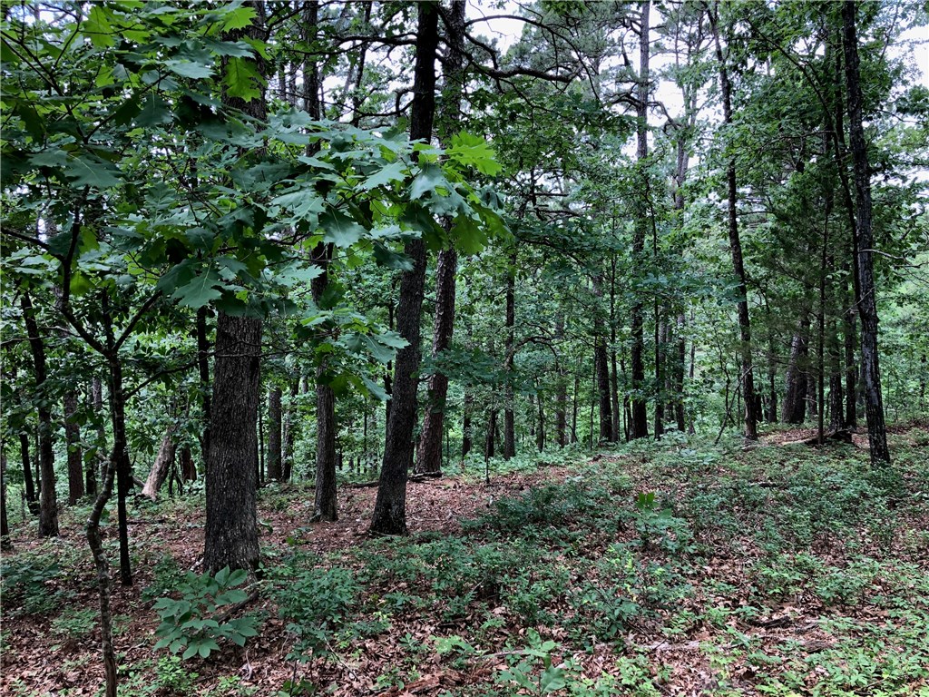 Mossy Oak - Land