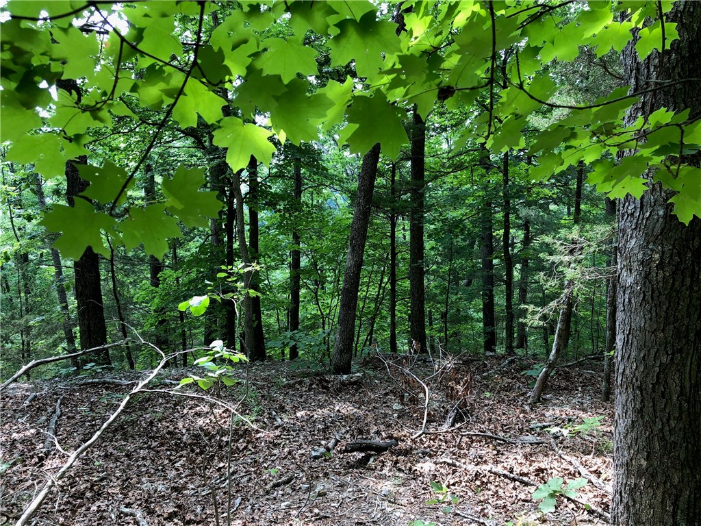 Mossy Oak - Land