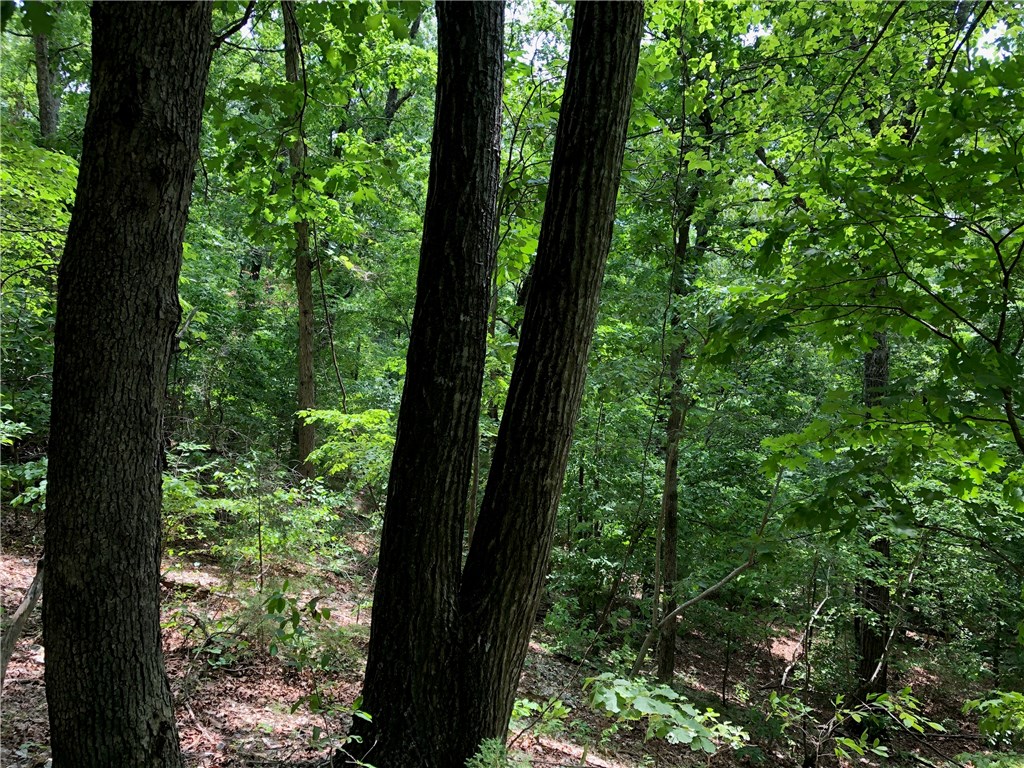 Mossy Oak - Land