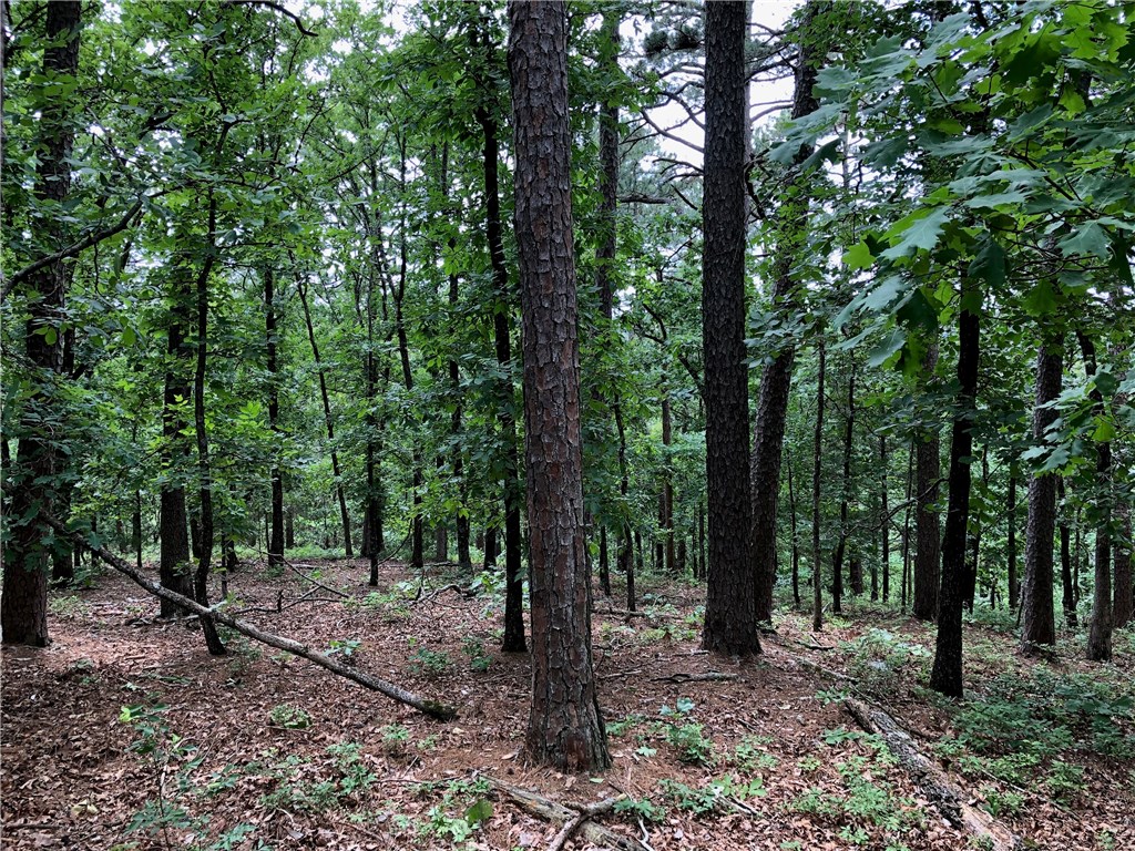 Mossy Oak - Land
