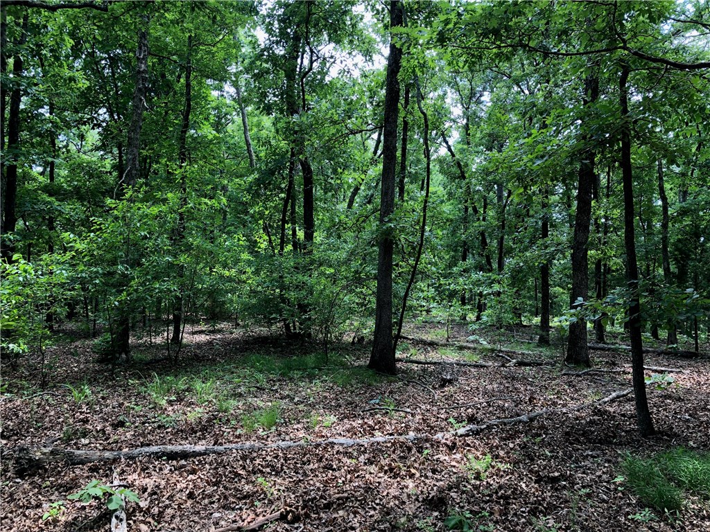 Mossy Oak - Land