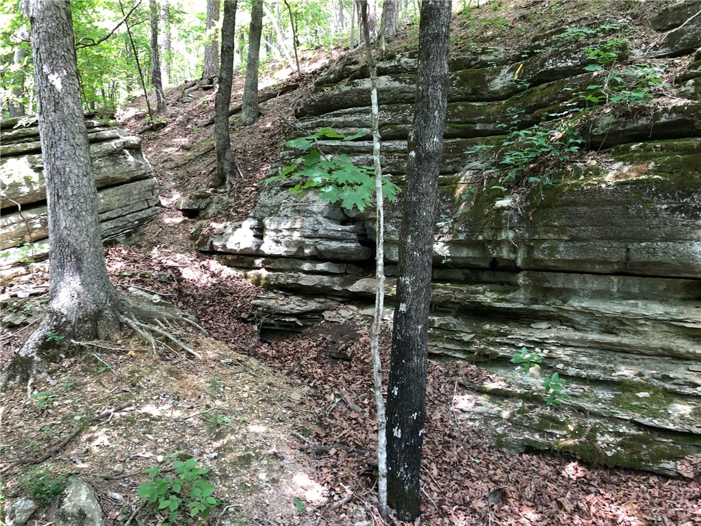 Mossy Oak - Land