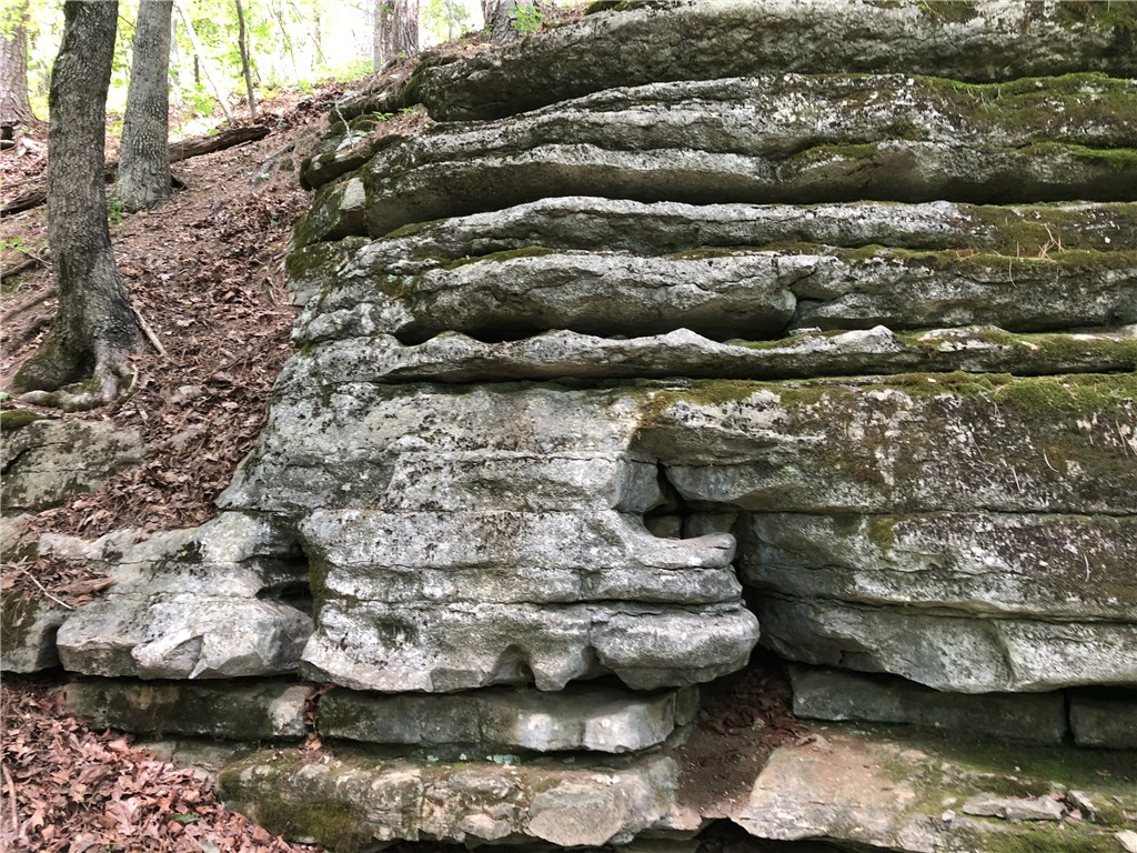 Mossy Oak - Land