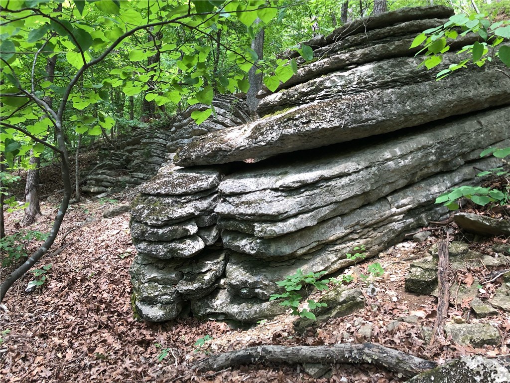 Mossy Oak - Land