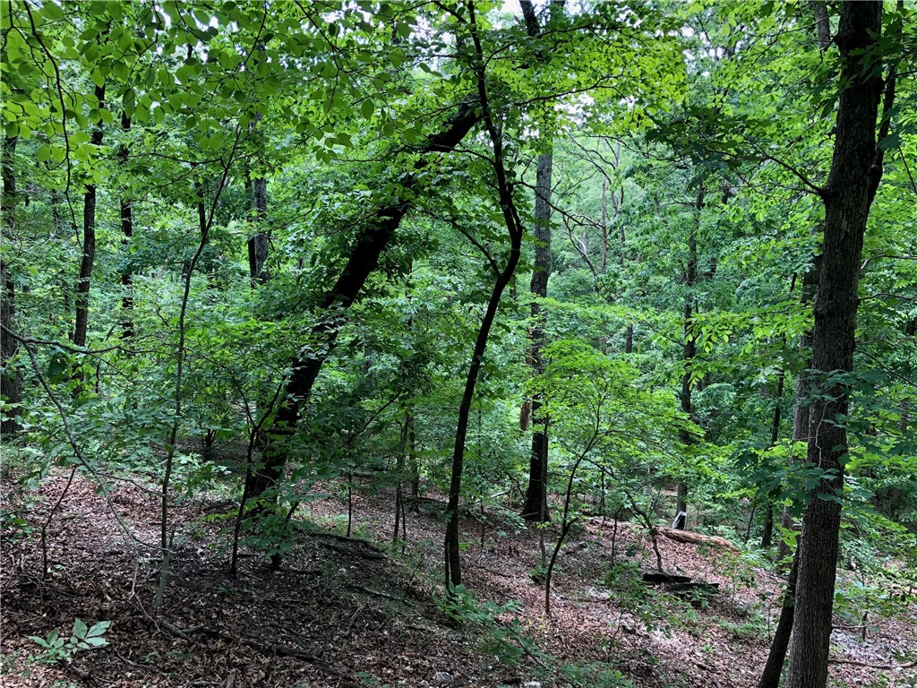 Mossy Oak - Land