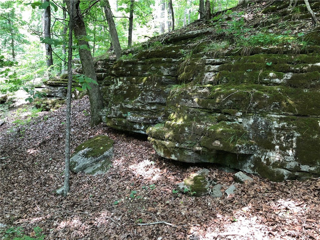 Mossy Oak - Land
