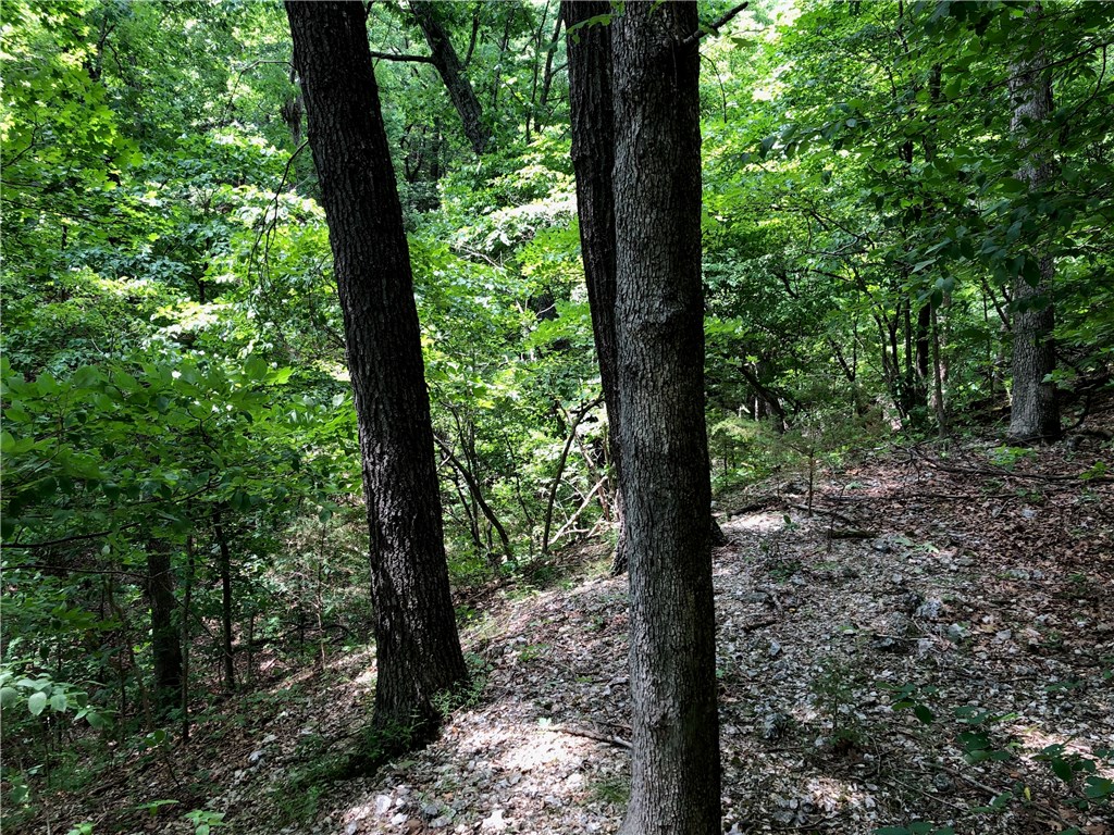Mossy Oak - Land