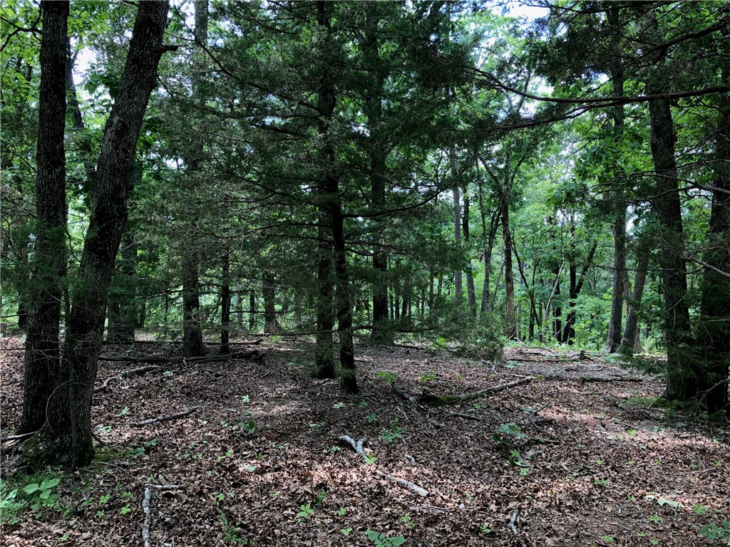 Mossy Oak - Land