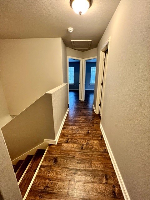 Rose Court Valley View - Residential Lease