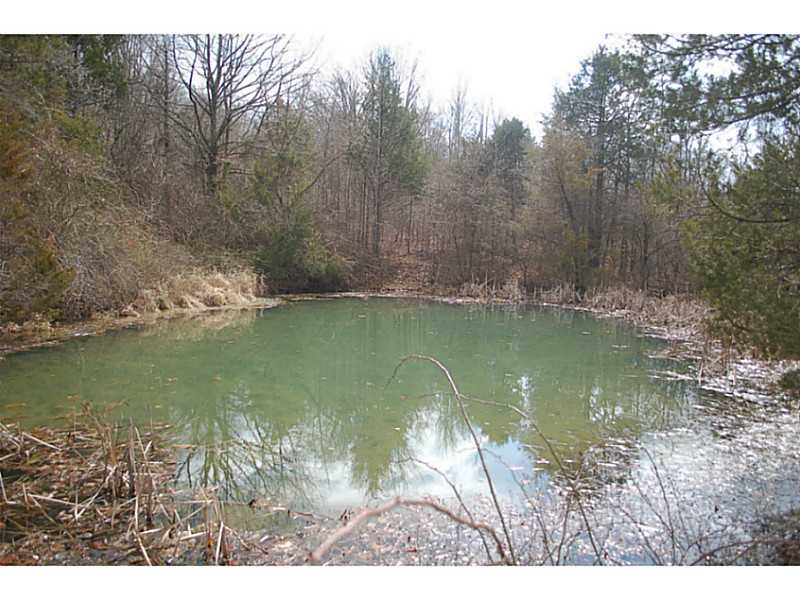National Forest on all four sides.. Great recreational or hunting land. Terrific price.. Ample wildlife. deer, bear, turkey. Opportunity to own a rare piece of land surrounded by National Forest..Wonderful views. 4 WED required.