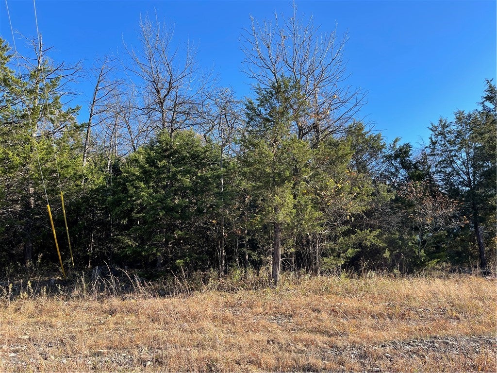Photo 1 of 12 — 40 Danube Drive, Holiday Island, AR 72631