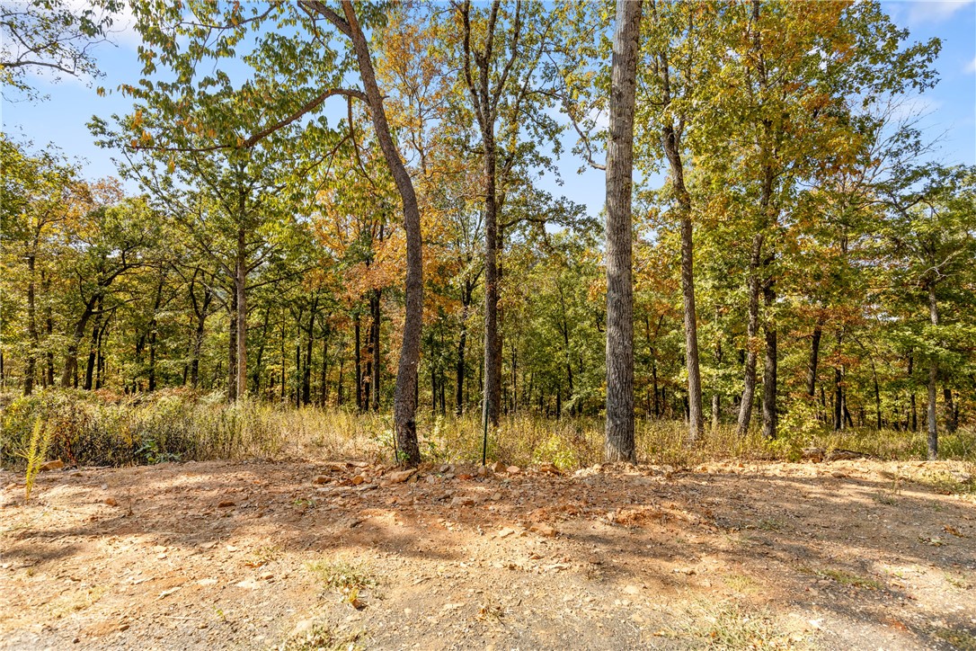 Check out Lot 69 (0.90 m/l ac) in Round Mountain Estate! The mountain to the west is in full view from this lot. If a walkout basement home is your familyās desire, choose this lot to build your dream home on! All utilities are on site already! RME is a new, master planned, exclusive subdivision located 10 minutes west of Harrison, AR. The following utilities are already on site making the building process much easier for you; natural gas, fiber optic internet, electric, public water, and sewer. Interested in your family seeing the star lights instead of those city lights? RME is what you've been searching for! RME features a 350 +/- acre common area for its residents that includes a stocked fishing pond, Kissing Rock trail, natural springs to explore, Baby Canyon trail, incredible bluff lines to climb, and views for hundreds of miles that will not only take your breath away but will forever be etched in your memory! Neighborhood amenities coming soon.