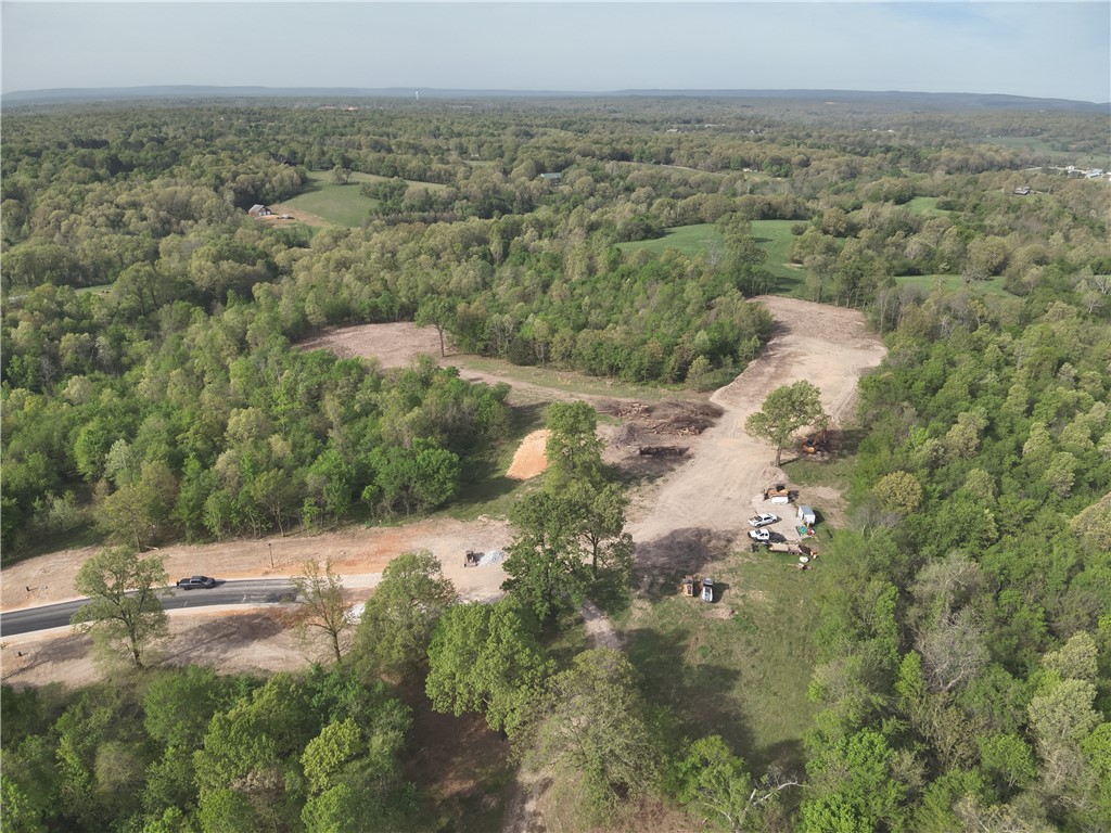 Discover Lot 49 of Blackberry Ridge, a scenic homesite integrated into the natural beauty of Fayetteville. This 0.98-acre lot provides the perfect canvas for your dream home, and you'll find yourself minutes away from I-49, providing easy access to shopping, dining, and more. Future plans for the community include a pool, pavilion, and soft walking trails. *Agent Owned*