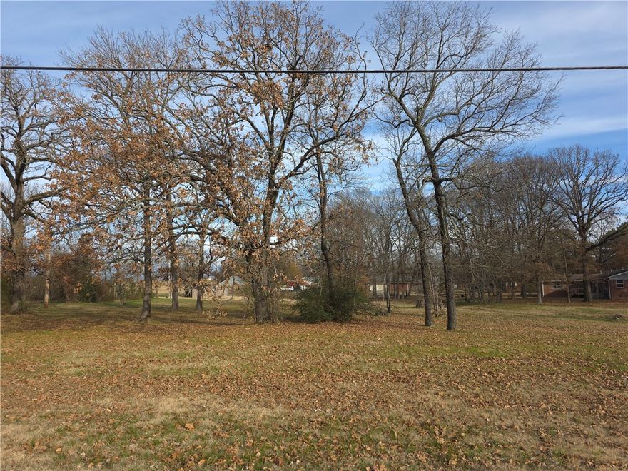 Rare opportunity to acquire undeveloped lots located on Main Stree/ State Highway 22 in Charleston, Arkansas. These versatile parcels offer strong potential for residential development, including single-family homes, duplexes, townhomes. With anticipated growth & discussions underway for a major project in the area, demand for additional housing is expected to increase making this an excellent opportunity for builders, developers, or investors. Two additional lots are available immediately to the east, providing options for expanded development or future phases.
Buyer to perform all due diligence regarding lot lines, easements, acreage, dimensions, and intended use. All utility availability and capacity must be independently verified by buyer. ARDOT ingress and egress requirements apply and should be confirmed by buyer directly with ARDOT.
A truly unique chance to capitalize on a prime Main Street location in Charleston with both current appeal and future growth potential.