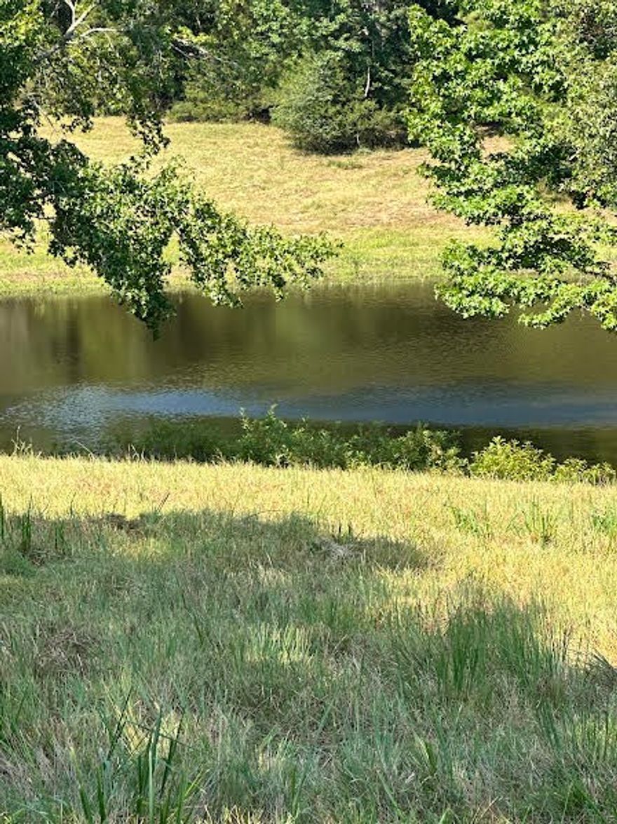 This beautiful 15.8 acre property offers a peaceful country setting with excellent potential for your dream home. Property is fully fenced and includes two ponds and mature trees. Designated home site with septic system installed several years ago for a 3/4 bedroom home (system has not been serviced or inspected in the last 3-4 years). Utilities on site include a water meter and power.