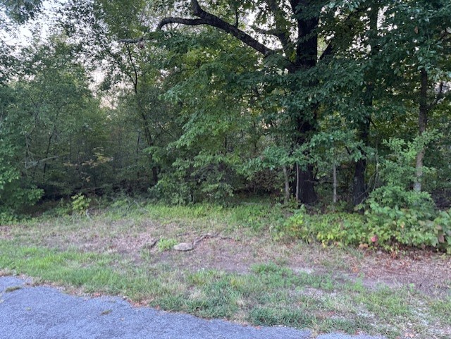 Great area by Highlands Golf Course. New homes being built nearby. Beautiful lot in amazing Kildonan Sub. So much added value with Highlands golf course surrounding the sub., Loch Lomond nearby and easy access to I-49. This is the perfect location to build your dream home.