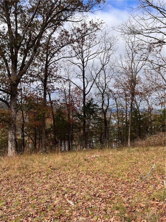 Piney Bay Village - Residential