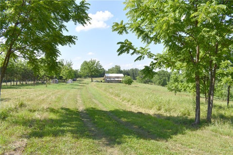 Photo of 201 May Pop Lane, Marshall, AR 72650 (MLS # 1349616)