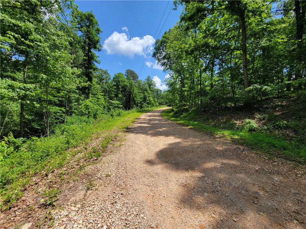 Large lot with SEWER access! Sits on a cul-de-sac with only 1 other home in sight. Enjoy what mother nature has to offer as this lot backs up to an abundance of wooded, common area and provides privacy and serenity while at the same time, offering quick access to the main highway and other conveniences. Bentonville schools.