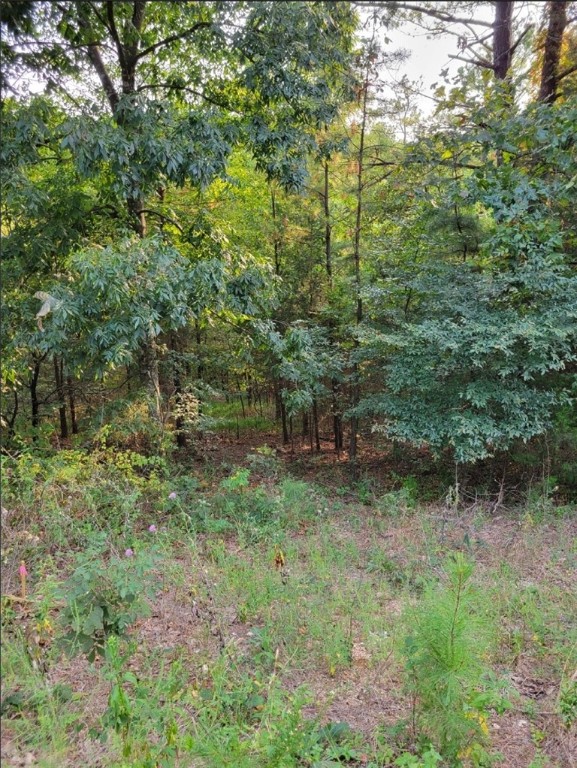 Beautiful .35-acre lot nestled in a peaceful area of Bella Vista. Perc/soil test dated 8/2024 attached. Great development potential. Walking distance to Scotsdale Golf Course. Minutes from Scotsdale Club House, Loch Lomond Dam, Bella Vista Dog Park, mountain biking and walking trails. Access to 7 recreational lakes, 7 golf courses, rec centers, indoor and outdoor pools, pickleball, tennis courts and more. 20 minutes to Walmart Home Office.