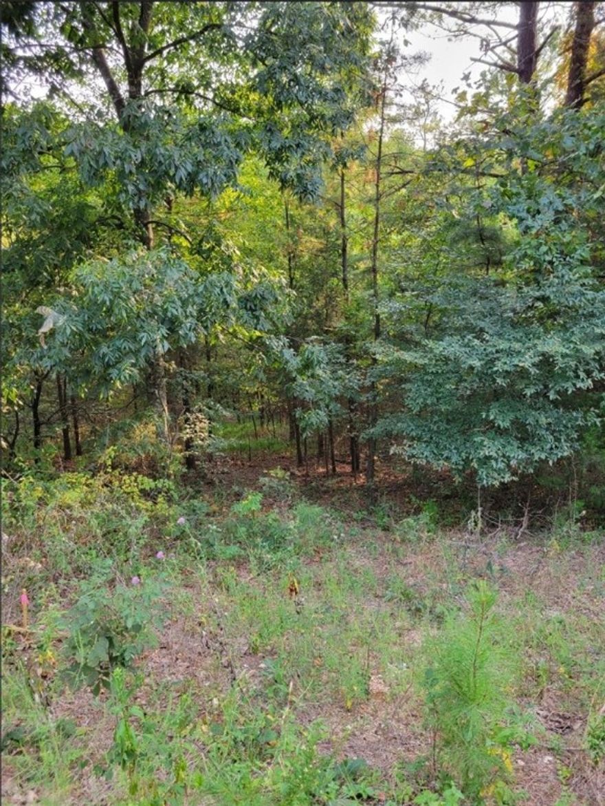 Beautiful .35-acre lot nestled in a peaceful area of Bella Vista. Perc/soil test dated 8/2024 attached. Great development potential. Walking distance to Scotsdale Golf Course. Minutes from Scotsdale Club House, Loch Lomond Dam, Bella Vista Dog Park, mountain biking and walking trails. Access to 7 recreational lakes, 7 golf courses, rec centers, indoor and outdoor pools, pickleball, tennis courts and more. 20 minutes to Walmart Home Office.