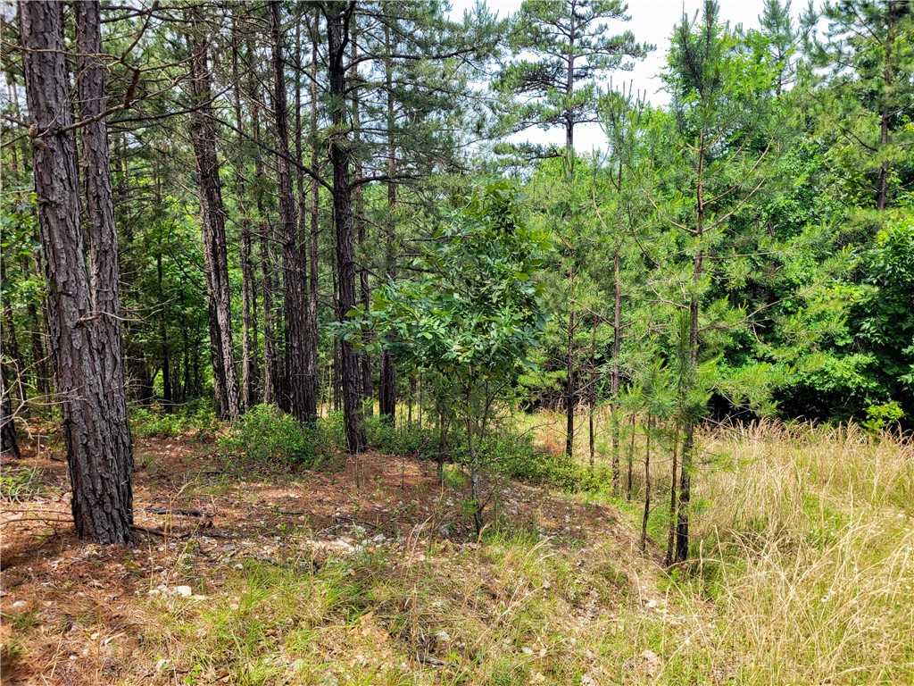 Timber Ridge - Land