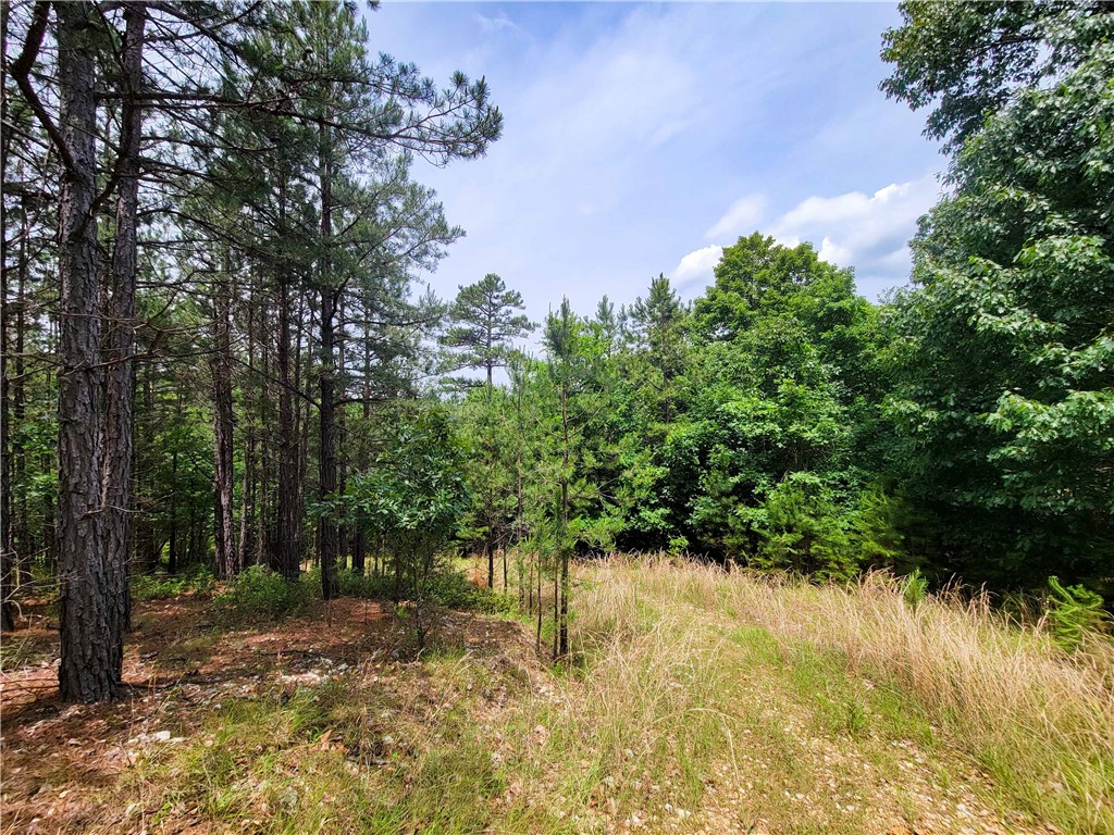 Timber Ridge - Land