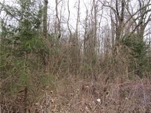 Looking for the perfect spot for your dream home? Posy Mountain Turnoff is just over 5 acres located minutes from Rogers and Beaver Lake. Very private setting.