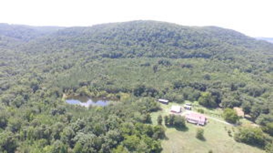 Ozark Mountain Creek Farm. Spectacular 518 acre m/l with approximately 1 mile of creek running through the land. Fabulous recreational property with an amazing amount of wildlife including deer, turkey and elk! Extra nice shooting houses, blinds, food plots and miles and miles of 4-wheeler trails! This listing would be the perfect hunting club or family retreat! Complete with your own personal swimming hole in the creek and a 2 acre lake stocked with fish. Beautiful 4 bedroom, 3 bath home loaded with extras including an open floor plan with large living room, fireplace, hardwood floors and lots of glass overlooking the farm and an amazing mountain view. Spacious kitchen with stainless steel appliances, hardwood floors, butler pantry, breakfast bar, lots of cabinets and large dining area.