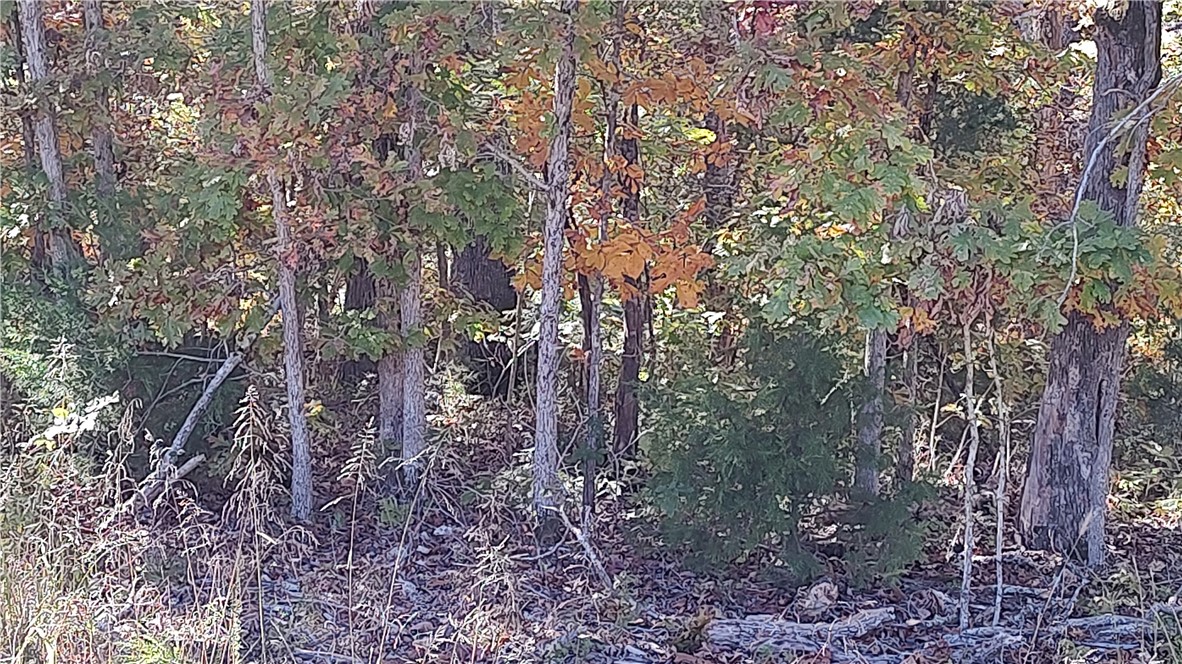 Lambeth Sub Bvv - Land