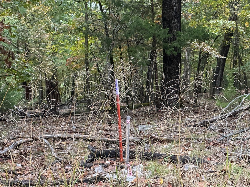 Music Creek Ranch Unrecd - Land