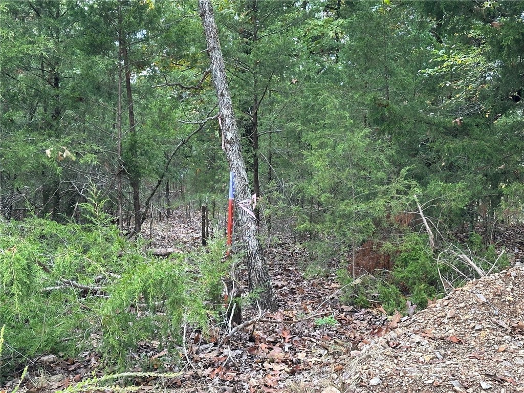 Music Creek Ranch Unrecd - Land