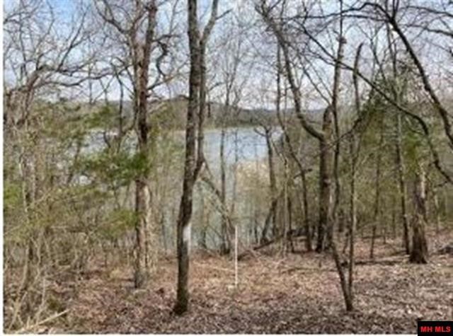 Music Creek Ranch Unrecd - Land