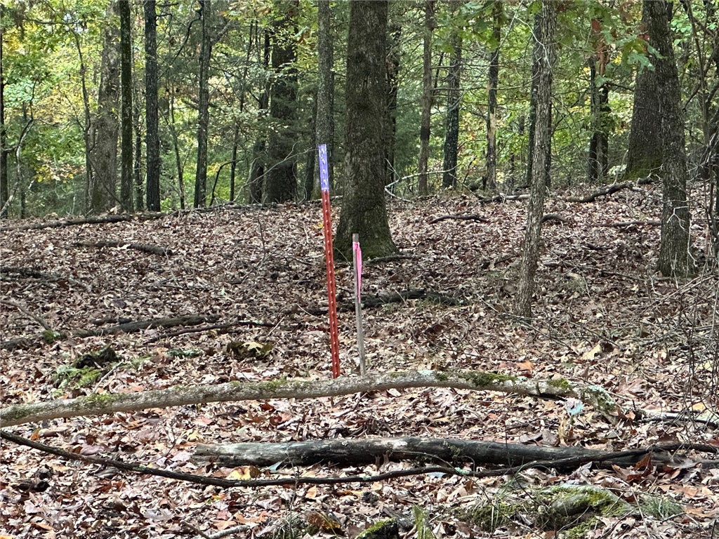 Music Creek Ranch Unrecd - Land