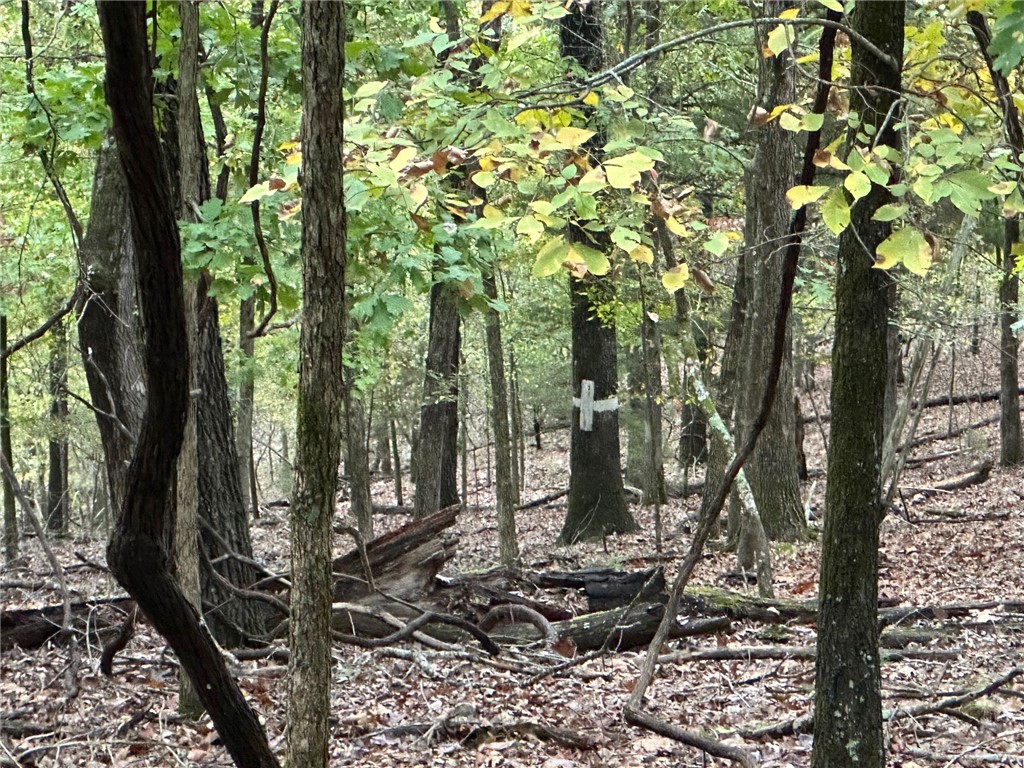 Music Creek Ranch Unrecd - Land