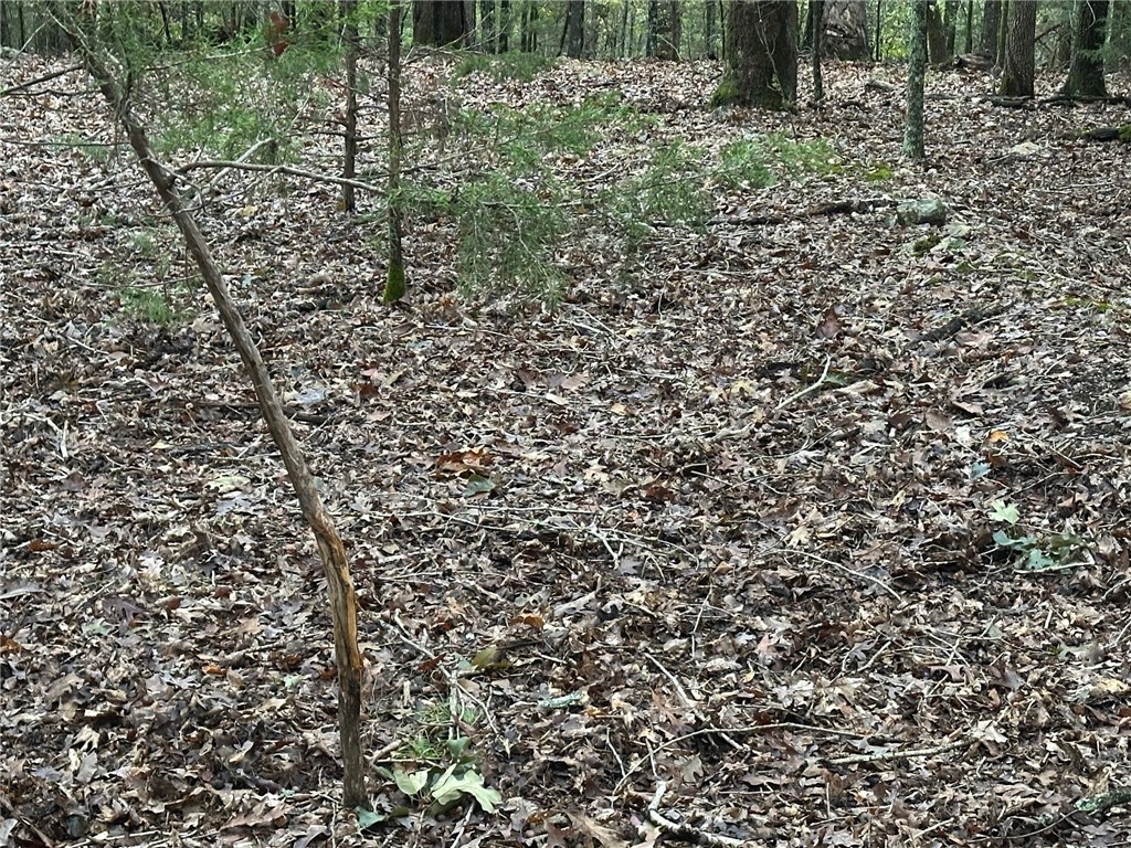 Music Creek Ranch Unrecd - Land