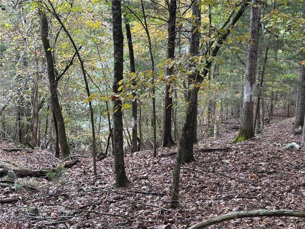 Music Creek Ranch Unrecd - Land